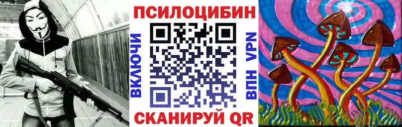 Псилоцибиновые грибы Cubensis  Новокузнецк 